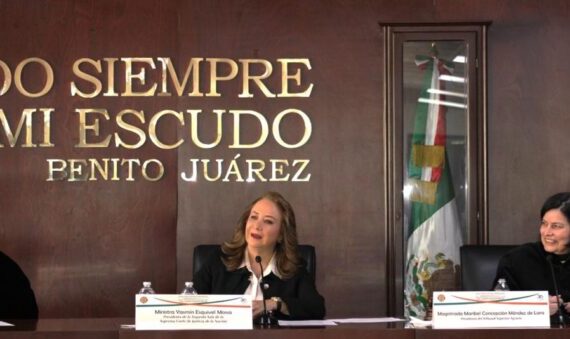 invalidación de su cédula profesional como abogada tendría un impacto devastador para las arcas de la Ciudad de México, con el riesgo de incluso colapsar el sistema de justicia administrativa local.