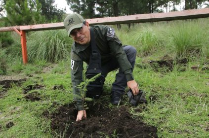 Tlalpan arranca jornada de reforestación 2024