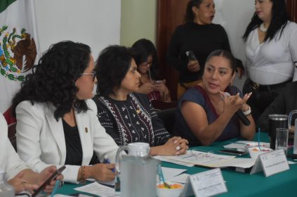 Si bien en la Alcaldía Tlalpan aún falta solucionar diversas problemáticas, hay que reconocer que la Titular de esta demarcación, Gabriela Osorio Hernández, sí destina el presupuesto público en lo que las y los habitantes verdaderamente necesitan y además transparenta su manejo, aseguró la diputada Xóchitl Bravo Espinosa.