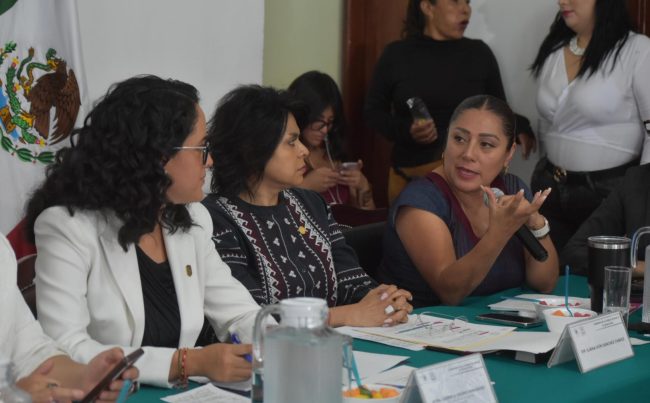 Si bien en la Alcaldía Tlalpan aún falta solucionar diversas problemáticas, hay que reconocer que la Titular de esta demarcación, Gabriela Osorio Hernández, sí destina el presupuesto público en lo que las y los habitantes verdaderamente necesitan y además transparenta su manejo, aseguró la diputada Xóchitl Bravo Espinosa.