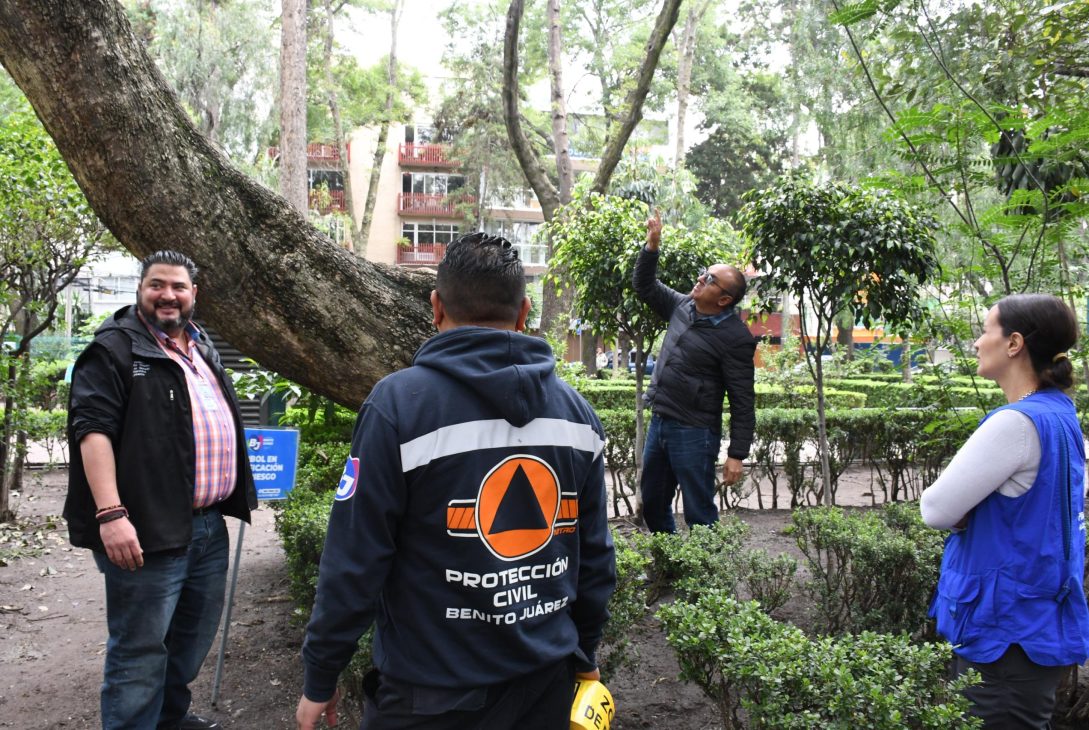 Con el objetivo de prevenir incidentes durante la temporada de lluvias y proteger la integridad de vecinos y visitantes, la alcaldía Benito Juárez, por instrucciones del alcalde Luis Mendoza, dio inicio a la verificación del arbolado en riesgo en el Parque Pascual Ortiz Rubio en la colonia del Valle. FOTO: Especial