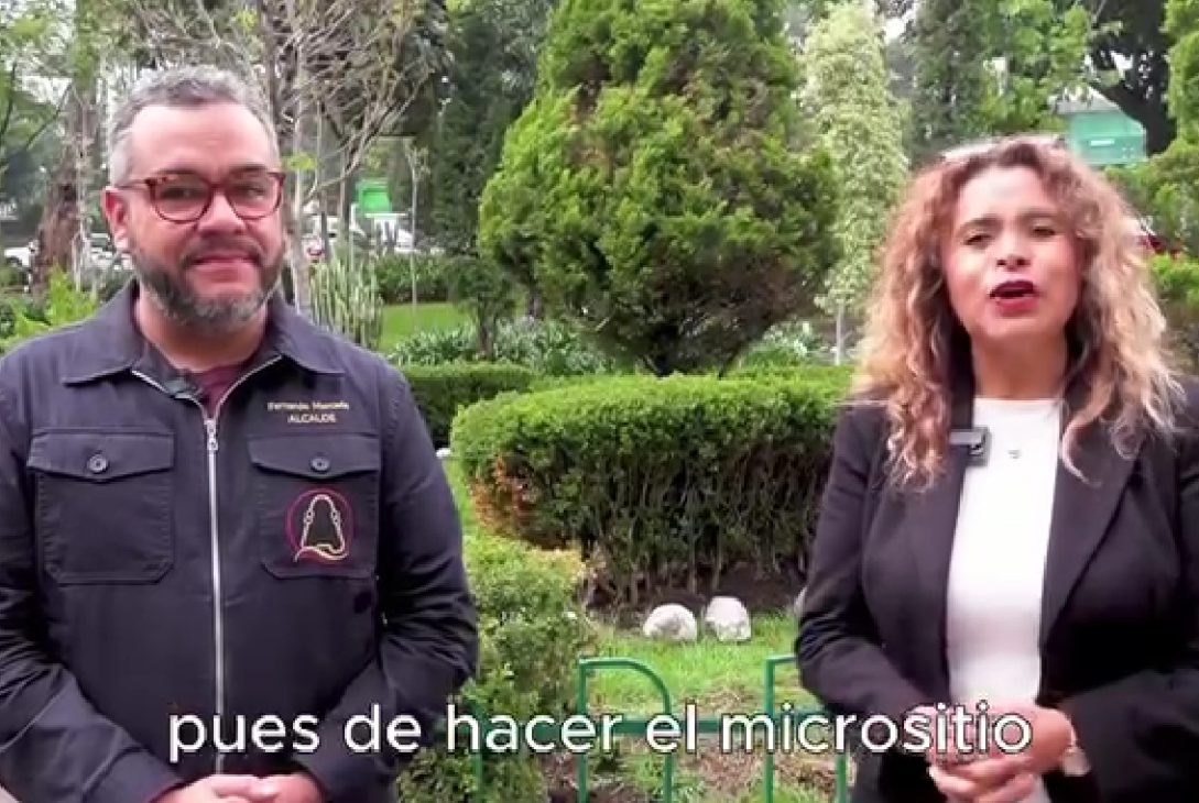 La Alcaldía La Magdalena Contreras lanzó su programa Bolsa de Trabajo, con un micrositio diseñado especialmente para el ciudadano, donde pueden encontrar vacantes de forma rápida, sencilla y sin complicaciones.