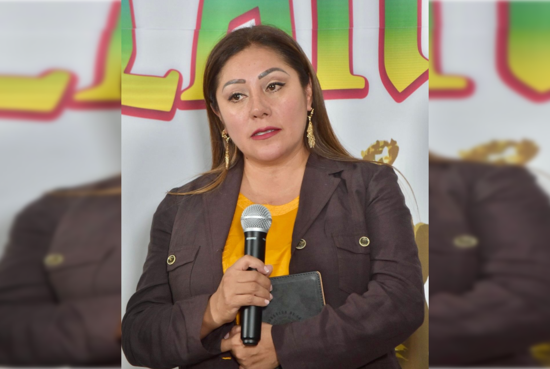 La propiedad privada en la Ciudad de México está totalmente garantizada, como lo establecen la Constitución Política Federal y la Carta Magna capitalina, por lo que es una mentira más de la bancada del PAN en el Congreso local que se pretenda expropiar y despojar de sus inmuebles a la gente, aseveró la diputada Xóchitl Bravo Espinosa.