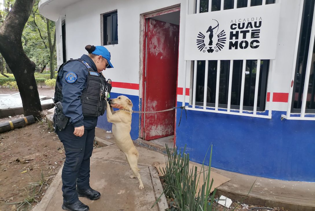“Abandonar a un animal no solo es cruel, es un delito”, acusa Rojo de la Vega.