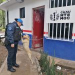 “Abandonar a un animal no solo es cruel, es un delito”, acusa Rojo de la Vega.