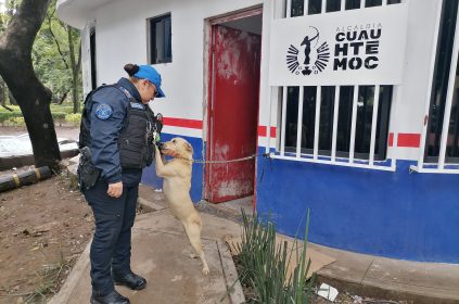 “Abandonar a un animal no solo es cruel, es un delito”, acusa Rojo de la Vega.
