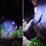 Autoridades y ciudadanos de la demarcación territorial Cuajimalpa reconocieron el trabajo de la Policía Guardabosques, pues a unos días de haber iniciado operaciones rescataron a dos personas que se encontraban atrapadas en una barranca de aproximadamente 10 metros de profundidad, en el Desierto de los Leones. FOTOS: Tomada de video en RRSS