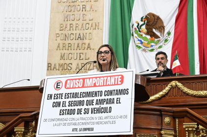 Impulsa PT reforma contra ‘estacionamientos mafiosos’, Jannette Guerrero, diputada PT. FOTO: Especial