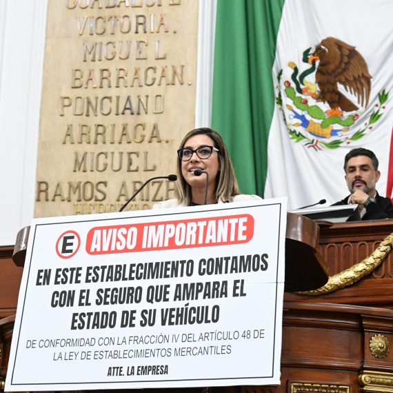 Impulsa PT reforma contra ‘estacionamientos mafiosos’, Jannette Guerrero, diputada PT. FOTO: Especial