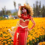 CDMX celebrará el Día de Muertos con 500 actividades