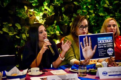 La presidenta del PAN en la Ciudad de México, Luisa Gutiérrez dijo que priorizarán, las causas ciudadanas y no las alianzas con otros partidos políticos. FOTO: Especial