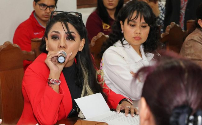 La concejala del Partido del Trabajo (PT), María Esther Rodríguez de la Serda acusó al Instituto Electoral de la Ciudad de México (IECM) de negarle las medidas cautelares ante una acusación que presentó de haber sido presuntamente víctima de violencia política contra la mujer en razón de género. FOTO: PT
