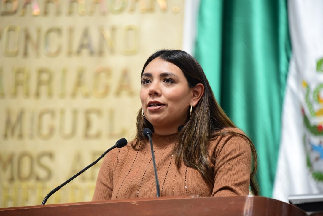 El pleno del Congreso capitalino solicitó a la Secretaría de Seguridad Ciudadana y la Subsecretaría de Programas de Alcaldías y Reordenamiento de la Vía Pública del gobierno de la Ciudad de México, en colaboración con la alcaldía Xochimilco, realizar operativos de verificación y clausura de establecimientos clandestinos en la vía pública dedicados a la venta y consumo de bebidas alcohólicas en el pueblo de San Gregorio Atlapulco. FOTO: Especial