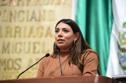 El pleno del Congreso capitalino solicitó a la Secretaría de Seguridad Ciudadana y la Subsecretaría de Programas de Alcaldías y Reordenamiento de la Vía Pública del gobierno de la Ciudad de México, en colaboración con la alcaldía Xochimilco, realizar operativos de verificación y clausura de establecimientos clandestinos en la vía pública dedicados a la venta y consumo de bebidas alcohólicas en el pueblo de San Gregorio Atlapulco. FOTO: Especial