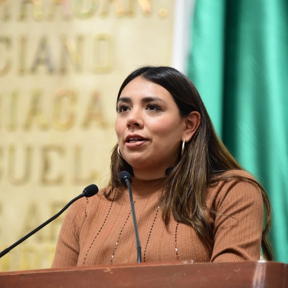 El pleno del Congreso capitalino solicitó a la Secretaría de Seguridad Ciudadana y la Subsecretaría de Programas de Alcaldías y Reordenamiento de la Vía Pública del gobierno de la Ciudad de México, en colaboración con la alcaldía Xochimilco, realizar operativos de verificación y clausura de establecimientos clandestinos en la vía pública dedicados a la venta y consumo de bebidas alcohólicas en el pueblo de San Gregorio Atlapulco. FOTO: Especial
