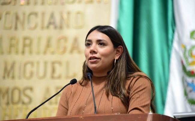 El pleno del Congreso capitalino solicitó a la Secretaría de Seguridad Ciudadana y la Subsecretaría de Programas de Alcaldías y Reordenamiento de la Vía Pública del gobierno de la Ciudad de México, en colaboración con la alcaldía Xochimilco, realizar operativos de verificación y clausura de establecimientos clandestinos en la vía pública dedicados a la venta y consumo de bebidas alcohólicas en el pueblo de San Gregorio Atlapulco. FOTO: Especial