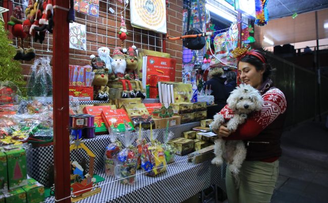 Con el objetivo de impulsar el comercio local durante la temporada decembrina, el alcalde Luis Mendoza invita a la población a visitar las romerías instaladas en los 15 mercados públicos de Benito Juárez, con las cuales, también se fomenta la convivencia familiar y se mantienen vivas las tradiciones que le dan identidad a nuestra comunidad.