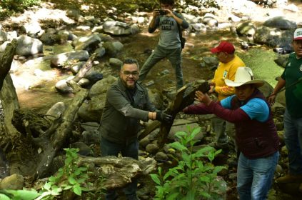 José Fernando Mercado Guaida sabe de la importancia que tiene el suelo de conservación para el presente y futuro de la Alcaldía La Magdalena Contreras –que representa el 75% de su territorio– , por lo que sin dudarlo afirma que protegerlo es una prioridad de su gobierno.
