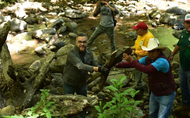 José Fernando Mercado Guaida sabe de la importancia que tiene el suelo de conservación para el presente y futuro de la Alcaldía La Magdalena Contreras –que representa el 75% de su territorio– , por lo que sin dudarlo afirma que protegerlo es una prioridad de su gobierno.