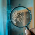 Los más de 2.7 millones de hogares de la Ciudad de México tiene más polvo contaminante que tiene grandes cantidades de metales pesados como plomo, cobre, zinc, níquel, cadmio, antimonio, entre otros, que puede perjudicar la salud de los capitalinos, advierte Francisco Bautista Zúñiga, investigador del Centro de Investigaciones en Geografía Ambiental (CIGA) del Instituto de Geofísica de la UNAM. FOTO: Gaceta UNAM