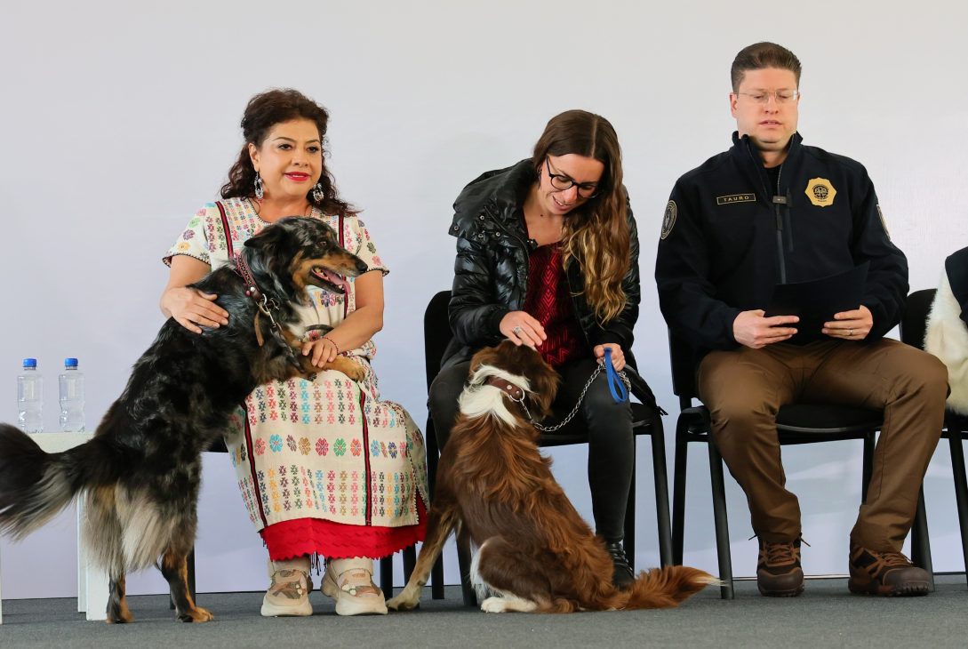 Bien que se busque evitar otros casos de maltrato animal, como el del Refugio Franciscano, pero sobre ello aquí una buena y una mala. FOTO: Especial