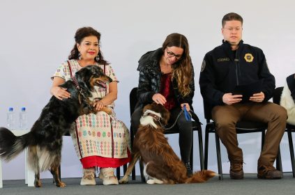 Bien que se busque evitar otros casos de maltrato animal, como el del Refugio Franciscano, pero sobre ello aquí una buena y una mala. FOTO: Especial