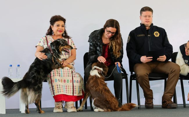Bien que se busque evitar otros casos de maltrato animal, como el del Refugio Franciscano, pero sobre ello aquí una buena y una mala. FOTO: Especial