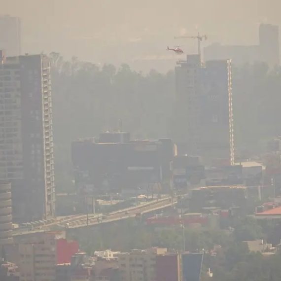 Quien sale de la CDMX tres o cuatro días, tiempo en que el cuerpo más o menos se limpia de los contaminantes, se percata de una triste realidad: al volver, apenas se abren las puertas del avión, se percibe la peste del smog, ese olor a gasolina y diésel quemado, a humo de coche de vieja tecnología de combustión. Provoca nausea y dolor de cabeza. FOTO: Cuartoscuro