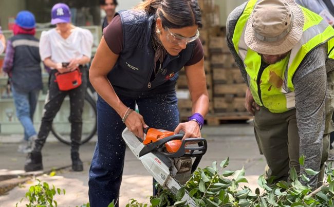 Ale Rojo encabeza megapoda en Condesa, Hipódromo y Roma