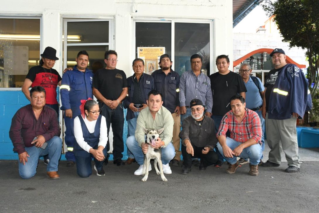 En Benito Juárez se impulsa una cultura que reconoce a los animales de compañía como seres sintientes, con derecho a una vida digna y segura.