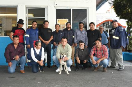 En Benito Juárez se impulsa una cultura que reconoce a los animales de compañía como seres sintientes, con derecho a una vida digna y segura.