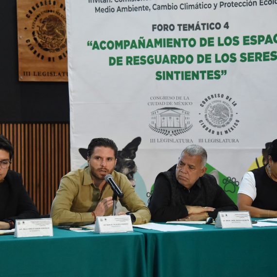 En el Congreso de la Ciudad de México se llevó a cabo el cuarto foro temático sobre la protección de los seres sintientes, de un total de cinco, cuyas opiniones y propuestas de los participantes contribuirán a la elaboración de la Ley de Albergues y Refugios de Animales capitalina.