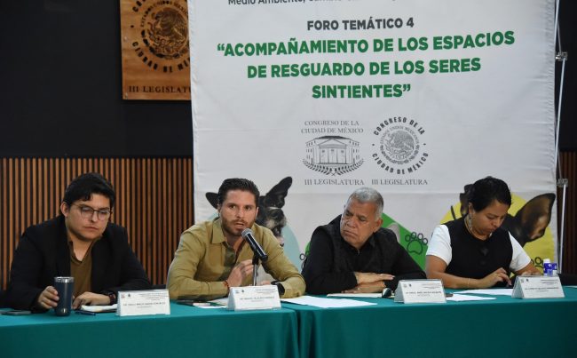 En el Congreso de la Ciudad de México se llevó a cabo el cuarto foro temático sobre la protección de los seres sintientes, de un total de cinco, cuyas opiniones y propuestas de los participantes contribuirán a la elaboración de la Ley de Albergues y Refugios de Animales capitalina.